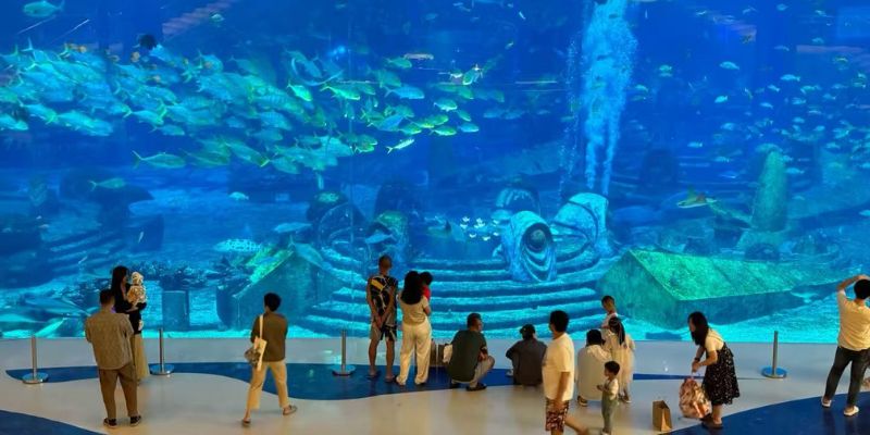 The Lost Chambers Aquarium